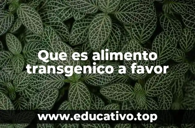 Que es alimento transgenico a favor