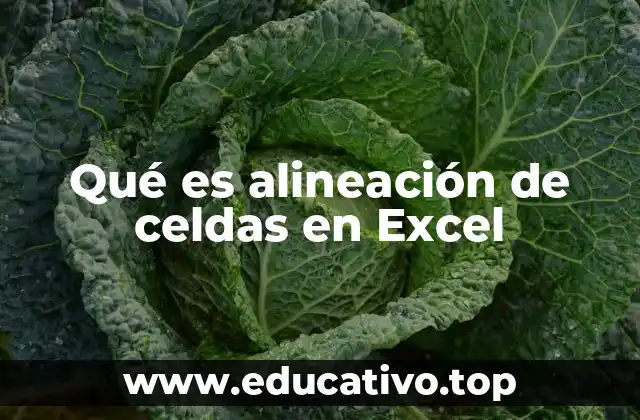 Qué es alineación de celdas en Excel