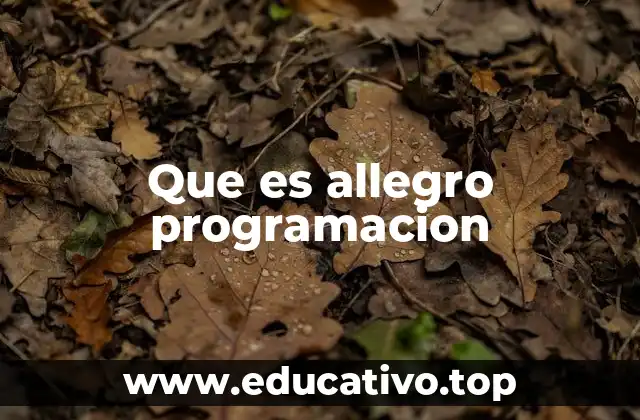 Que es allegro programacion