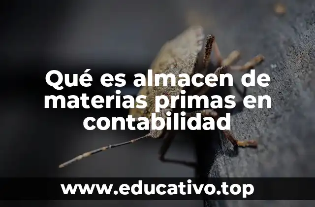 Qué es almacen de materias primas en contabilidad