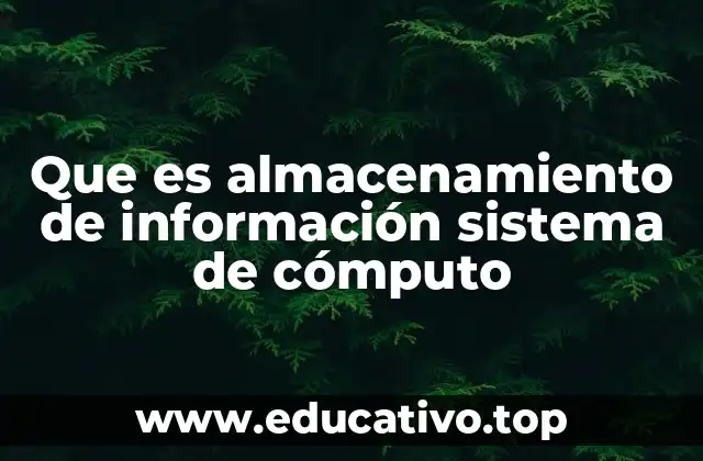 Que es almacenamiento de información sistema de cómputo