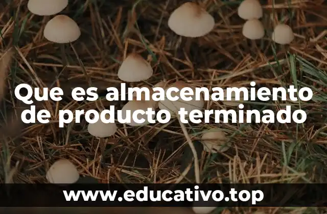 La importancia del almacenamiento en la cadena de suministro