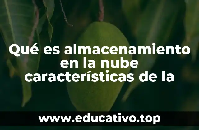 Qué es almacenamiento en la nube características de la