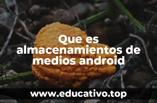Que es almacenamientos de medios android