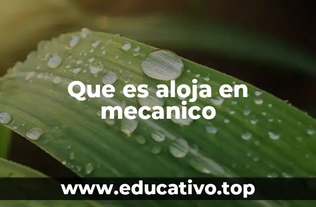 Que es aloja en mecanico
