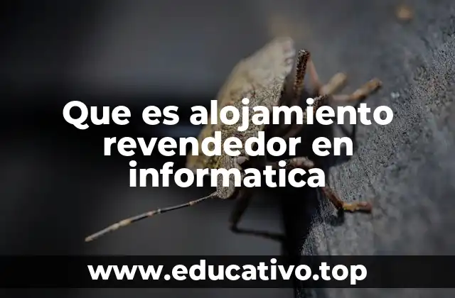 Que es alojamiento revendedor en informatica