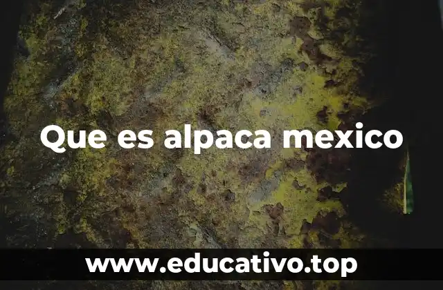 Que es alpaca mexico