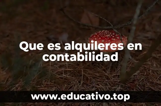 Que es alquileres en contabilidad