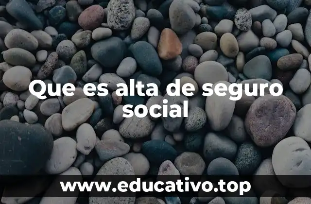 Que es alta de seguro social