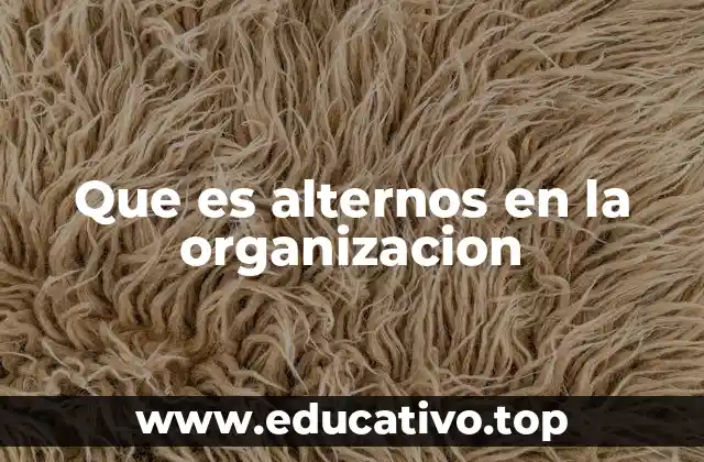 Que es alternos en la organizacion
