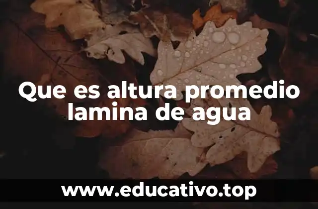 Que es altura promedio lamina de agua