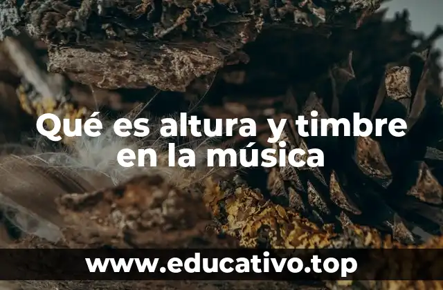 Cómo los sonidos se diferencian entre sí