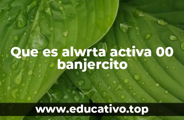 Que es alwrta activa 00 banjercito