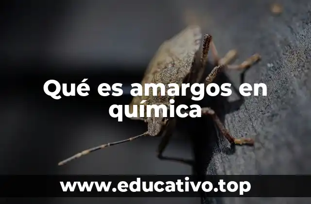 Qué es amargos en química