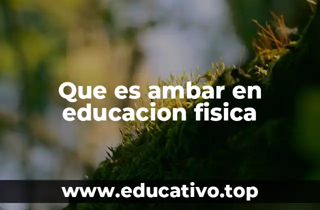 Que es ambar en educacion fisica