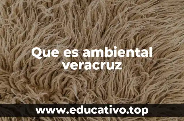 Que es ambiental veracruz