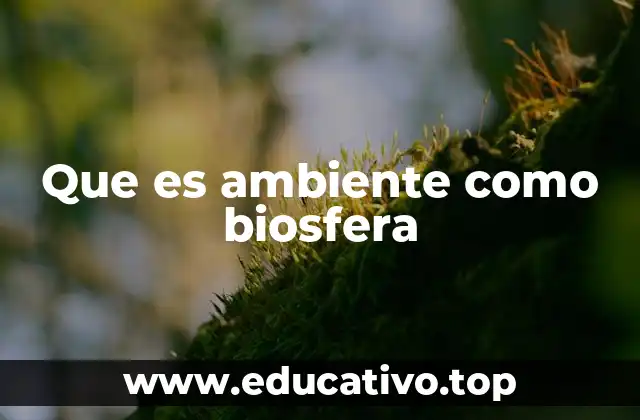 Que es ambiente como biosfera