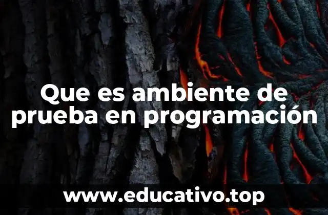 Que es ambiente de prueba en programación
