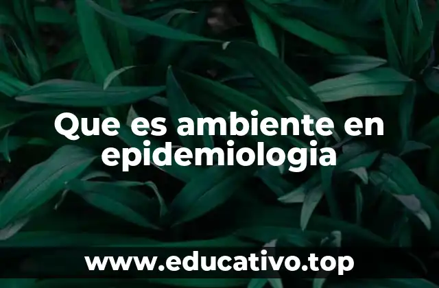 Que es ambiente en epidemiologia