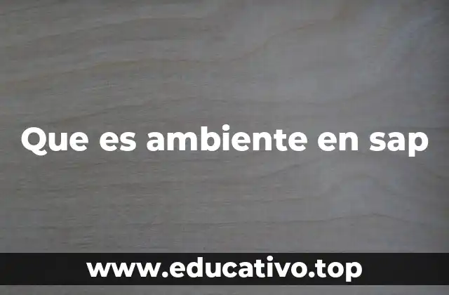 Que es ambiente en sap
