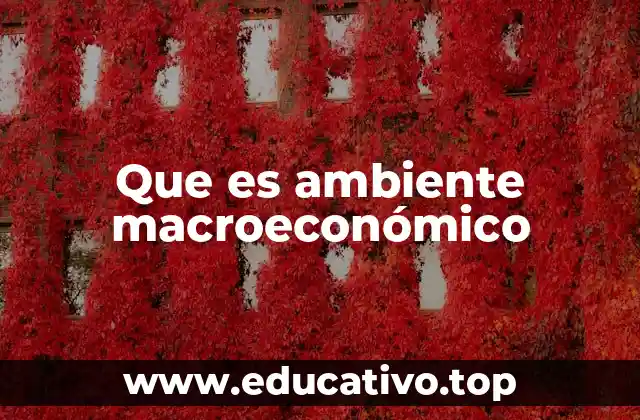 Que es ambiente macroeconómico