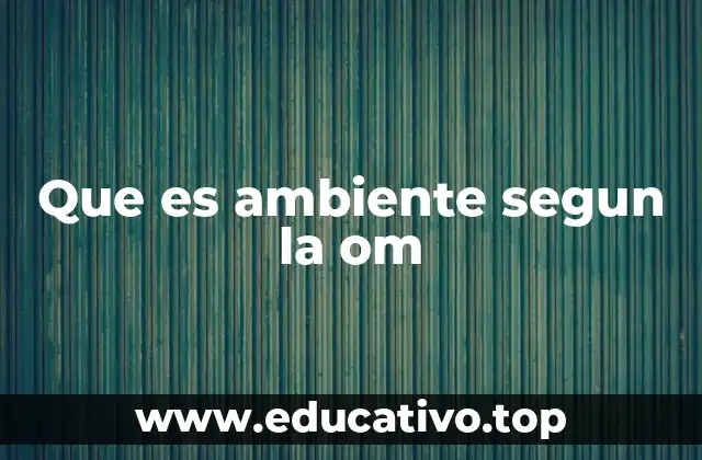 Que es ambiente segun la om