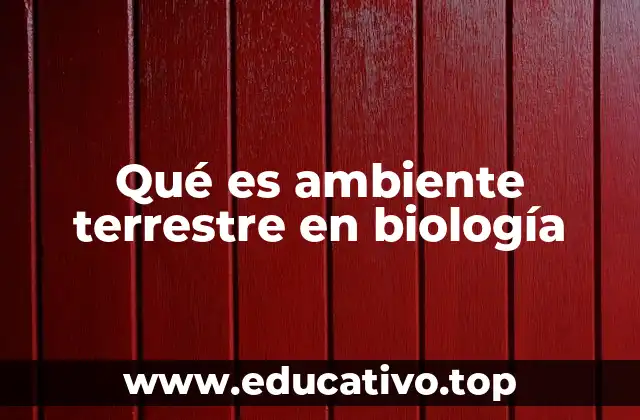 Qué es ambiente terrestre en biología