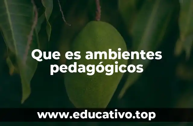 Que es ambientes pedagógicos