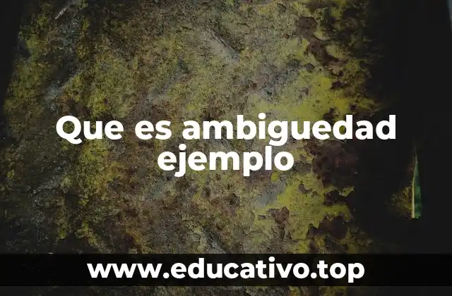Que es ambiguedad ejemplo