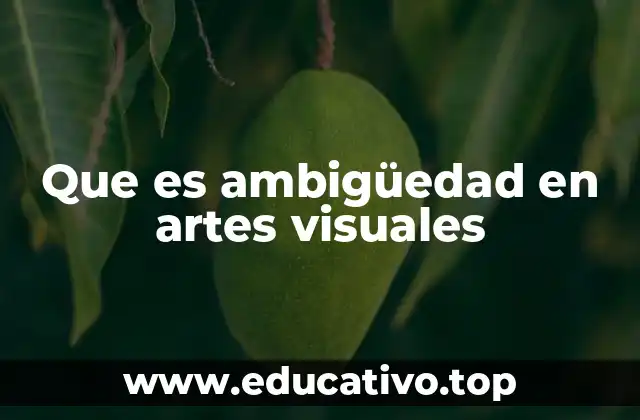 Que es ambigüedad en artes visuales
