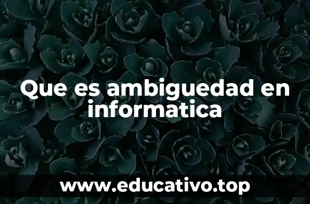 Causas de la ambigüedad en sistemas informáticos