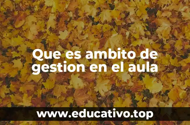 Que es ambito de gestion en el aula