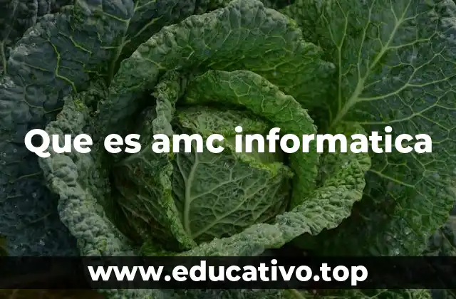 Que es amc informatica