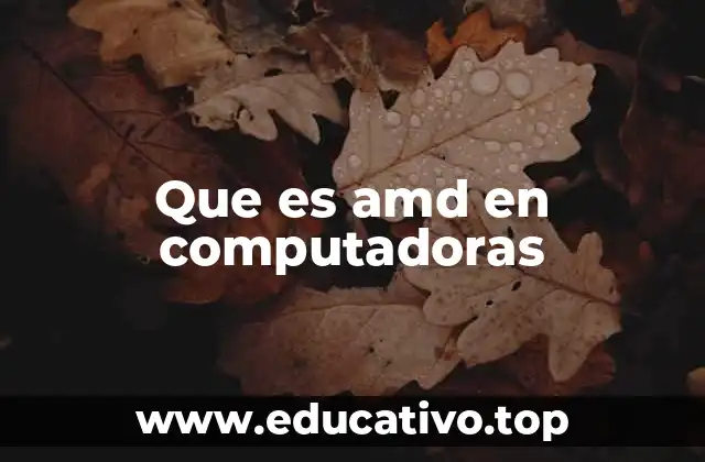 El rol de AMD en la evolución del hardware informático