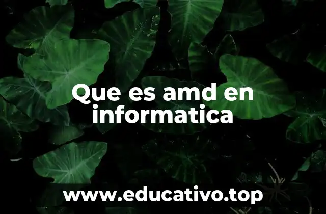 Que es amd en informatica