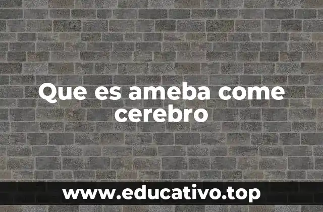 Que es ameba come cerebro