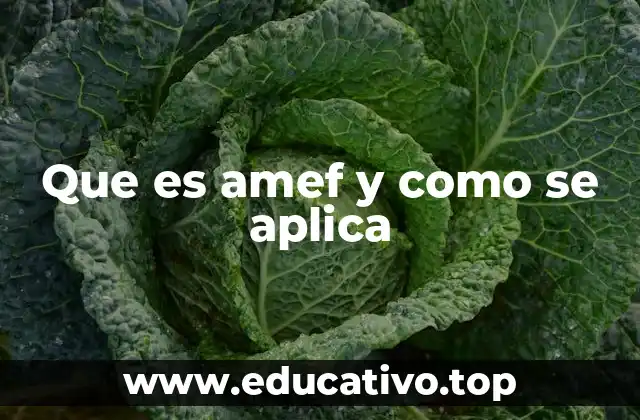 Que es amef y como se aplica