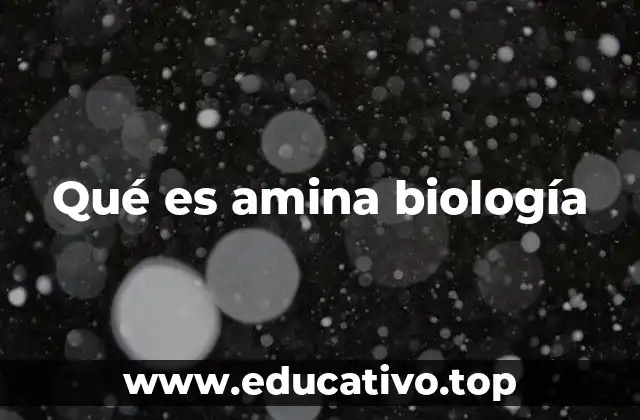 Qué es amina biología