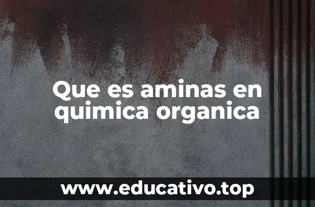Que es aminas en quimica organica