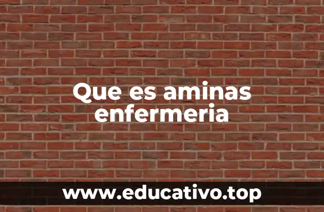 Que es aminas enfermeria