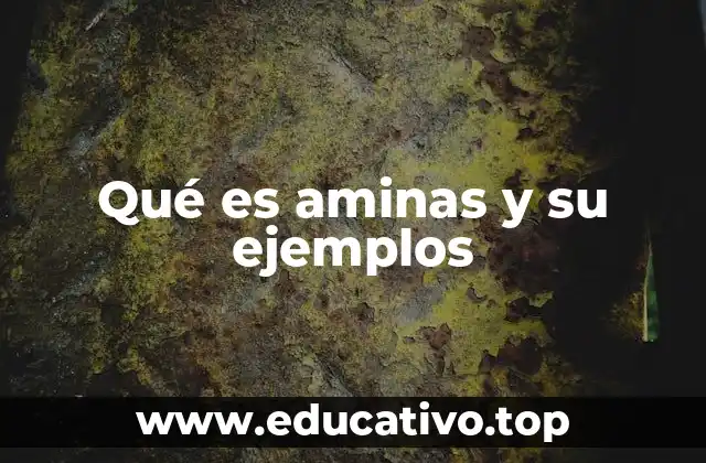 Qué es aminas y su ejemplos