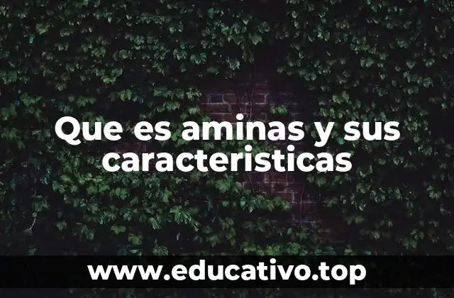 Que es aminas y sus caracteristicas