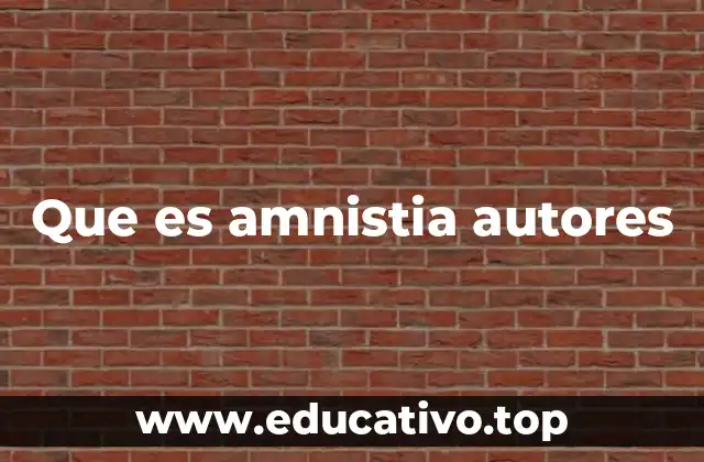 Que es amnistia autores