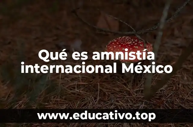 Qué es amnistía internacional México