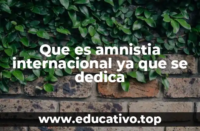 Que es amnistia internacional ya que se dedica