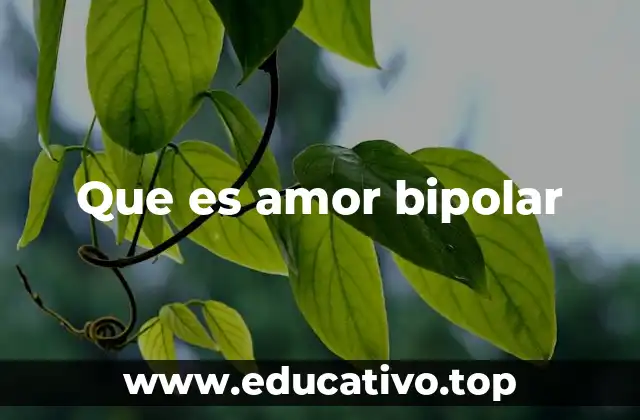 Que es amor bipolar