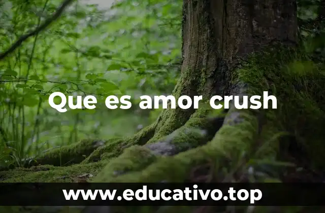 Que es amor crush