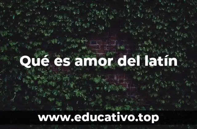 Qué es amor del latín