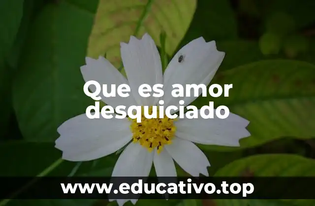 Que es amor desquiciado