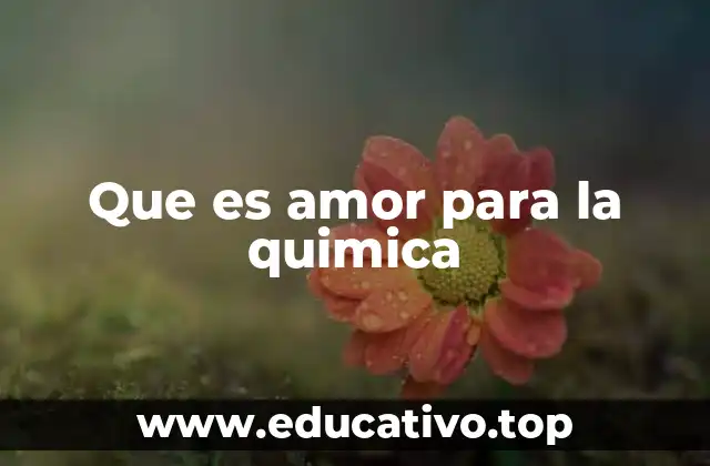 Que es amor para la quimica